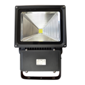 Imagen para la categoría Focos LED