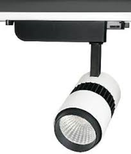 Imagen para la categoría Focos de Carril LED